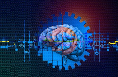 Brain and AI