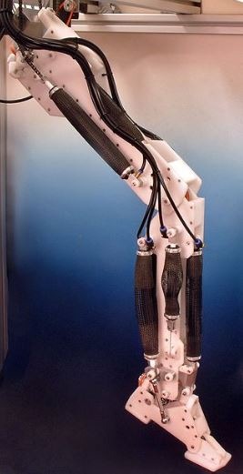 A 嫂子影院 leg powered by air muscles
