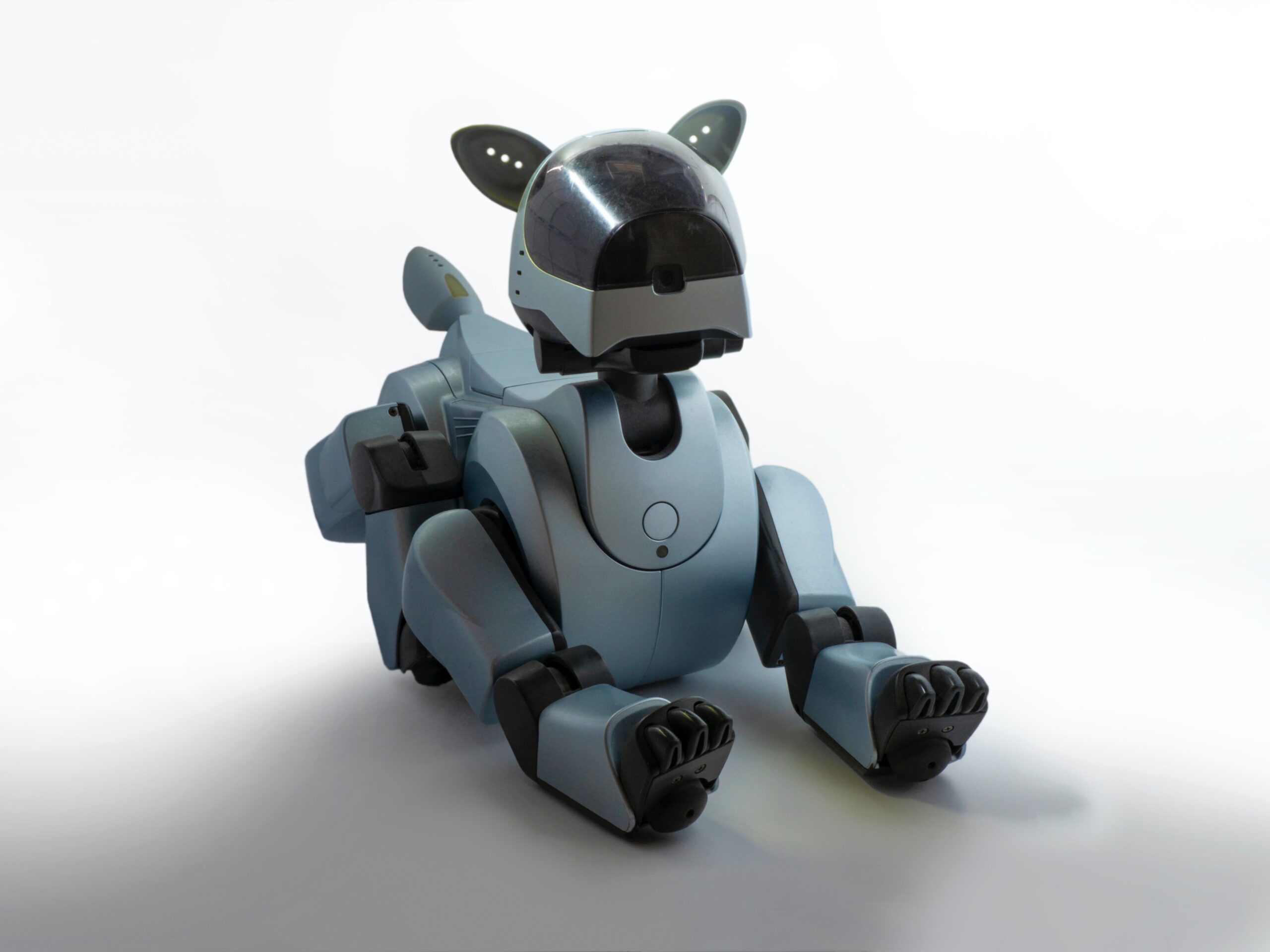 淫妻小说 dog
